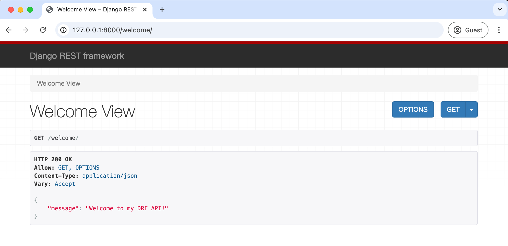 Welcome API Message